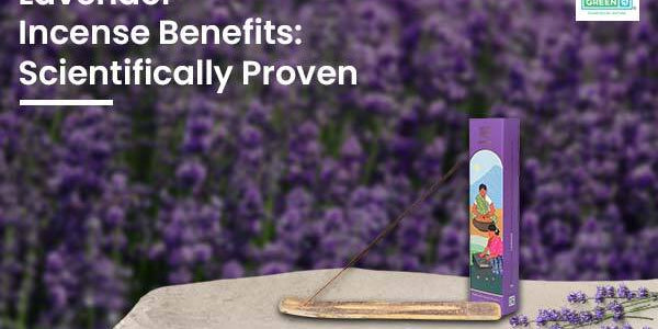 10 Lavender Incense Benefits: Scientifically Proven