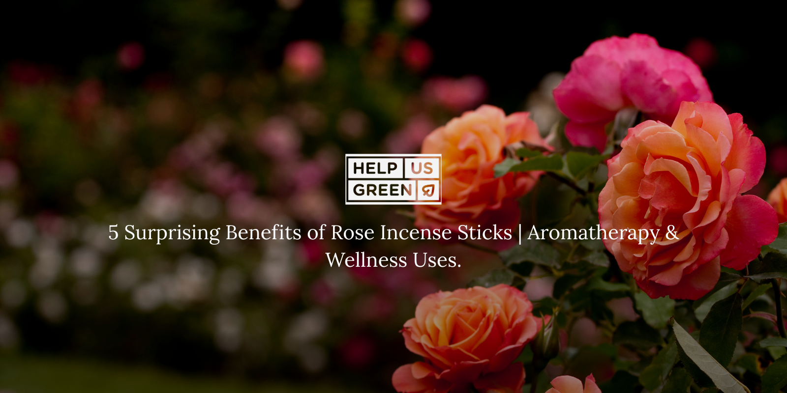 5 Surprising & Benefits of Rose Incense Sticks