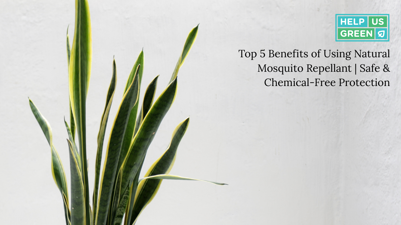 Top 5 Benefits of Using Natural Mosquito Repellant