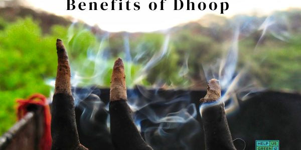 benefits of dhoop