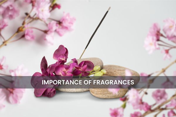 importance of fragrances