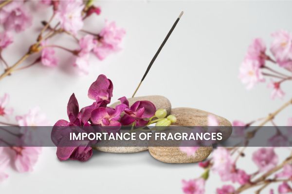 Experience the Magic of Fragrance: The Ultimate Guide