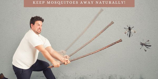 incense-stick-hacks-Keep Mosquitoes Away