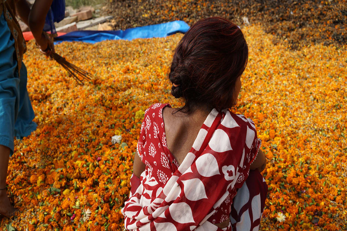 Help us Green spreads the Scent down the Ganges