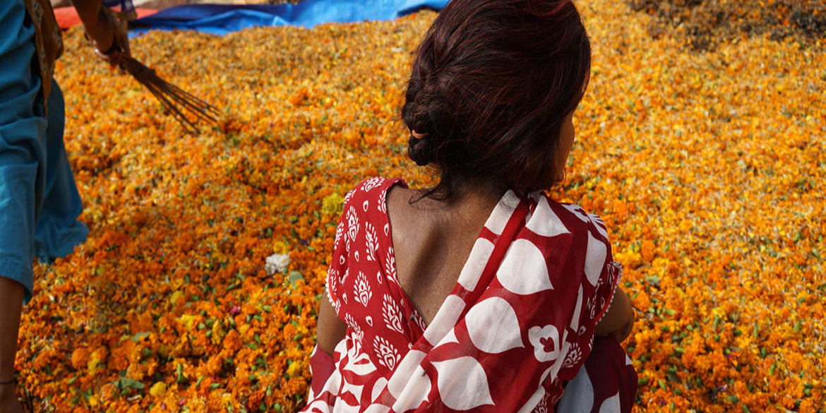 Help us Green spreads the Scent down the Ganges