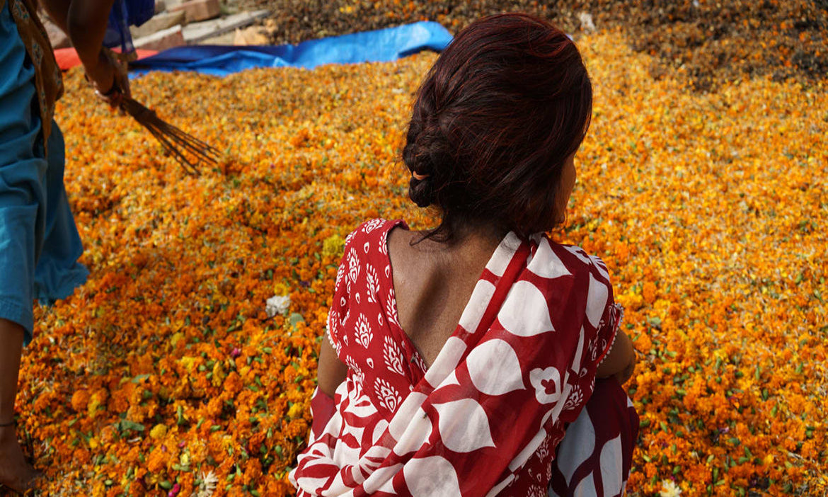 Help us Green spreads the Scent down the Ganges