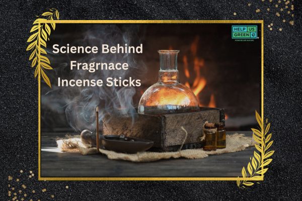 science behind fragrance - incense sticks