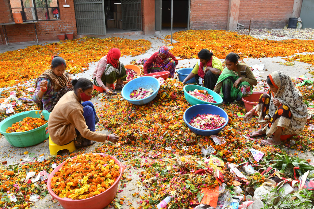 Sustainability Initiatives & Impact | HelpUsGreen