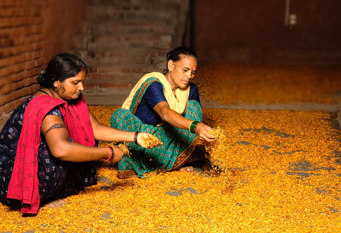 Initiatives and Impacts
