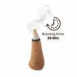 HelpUsGreen Natural Incense Cones Nagchampa and Rajnigandha Fragrance - 40 Cones Each (Combo Pack of 2)